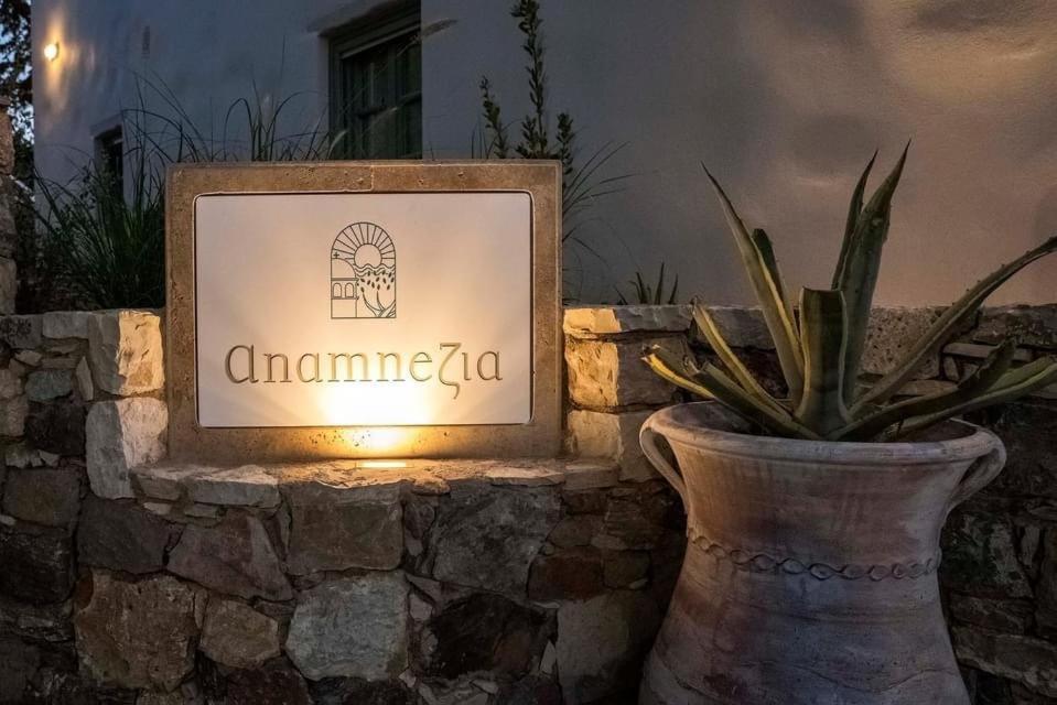 Anamnezia Luxury Suites (Adults Only) Agios Dimitrios  Exterior photo