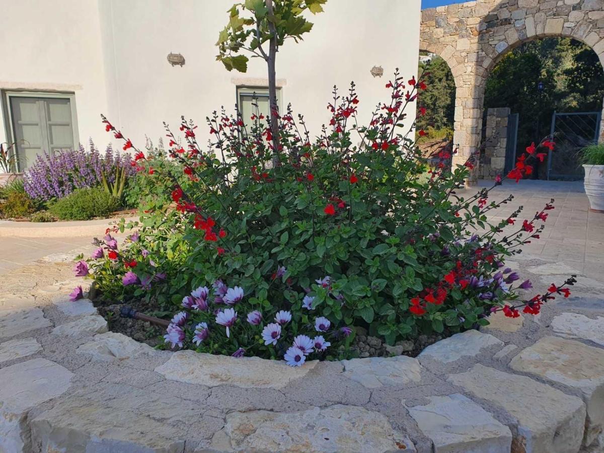 Anamnezia Luxury Suites (Adults Only) Agios Dimitrios  Exterior photo